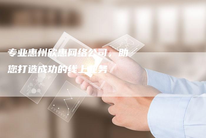 专业惠州欣惠网络公司，助您打造成功的线上业务