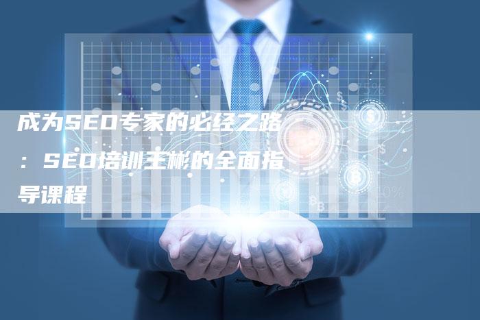成为SEO专家的必经之路：SEO培训王彬的全面指导课程