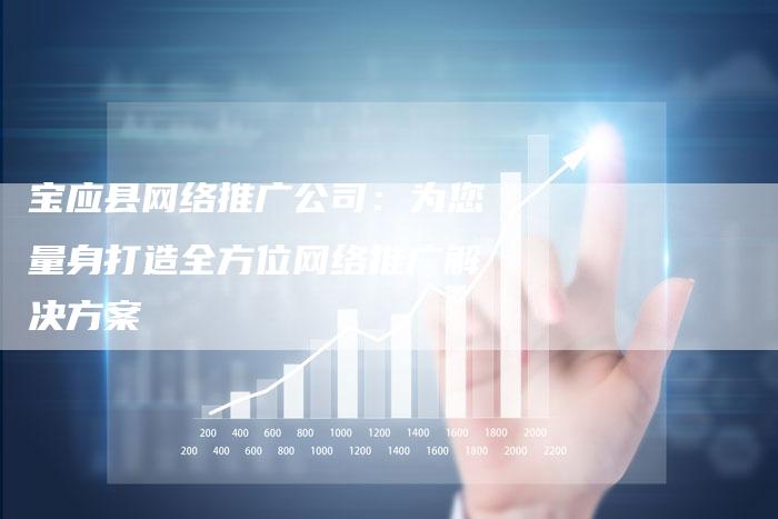 宝应县网络推广公司：为您量身打造全方位网络推广解决方案-夫唯发布外链网