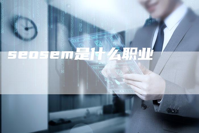 seosem是什么职业