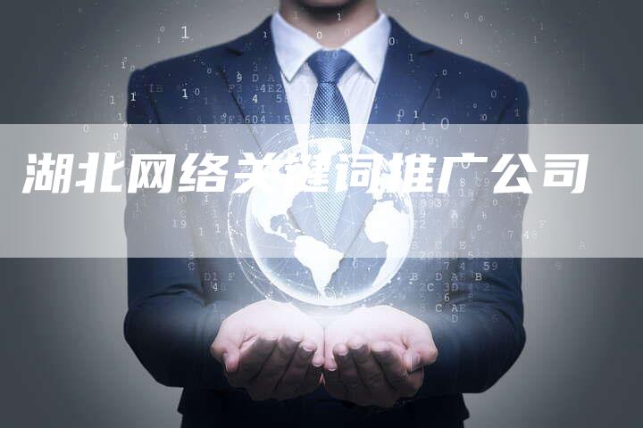 湖北网络关键词推广公司
