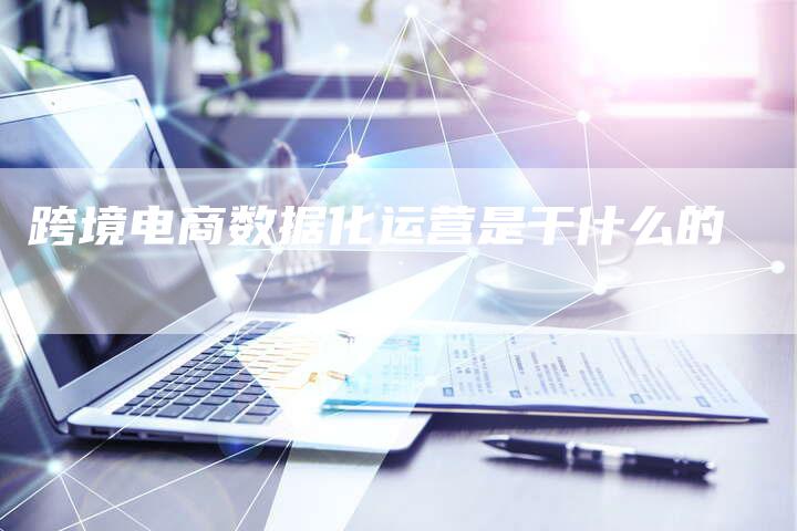 跨境电商数据化运营是干什么的-夫唯发布外链网