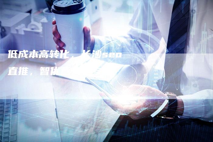低成本高转化，长沙seo直推，智优营家更专业-夫唯发布外链网