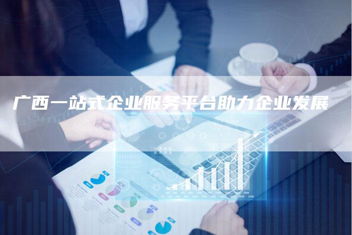 广西一站式企业服务平台助力企业发展