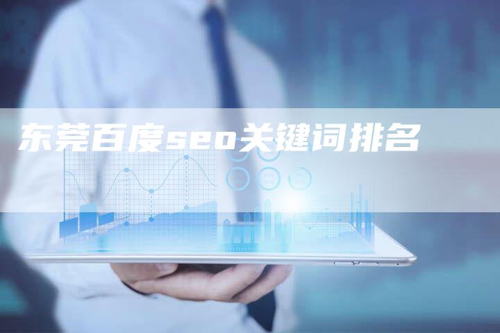 东莞百度seo关键词排名
