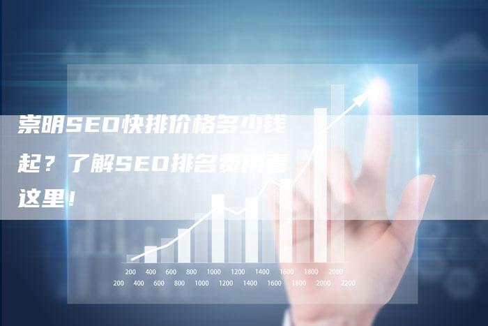 崇明SEO快排价格多少钱起？了解SEO排名费用看这里！-夫唯发布外链网