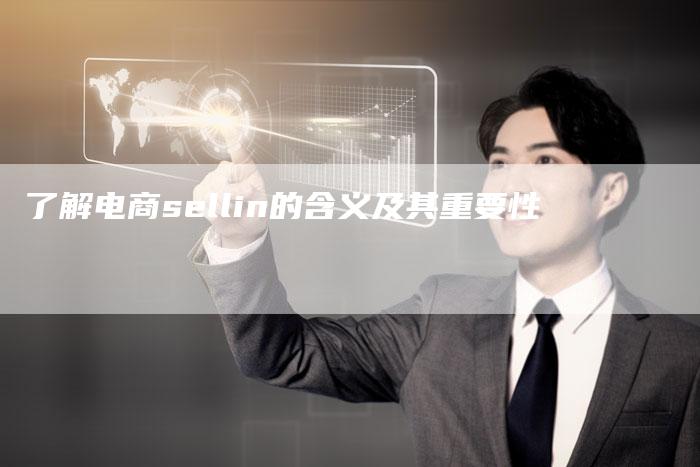 了解电商sellin的含义及其重要性