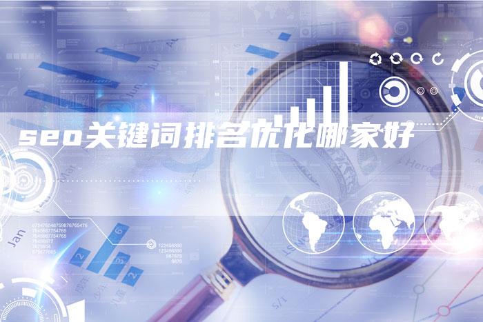 seo关键词排名优化哪家好