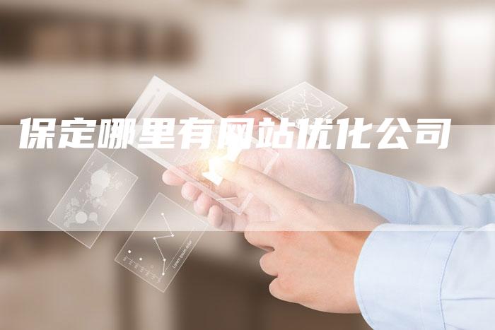 保定哪里有网站优化公司