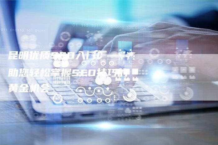 昆明优质SEO入门厂——助您轻松掌握SEO技巧的黄金机会