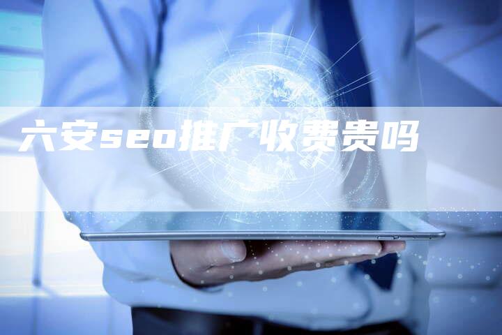六安seo推广收费贵吗