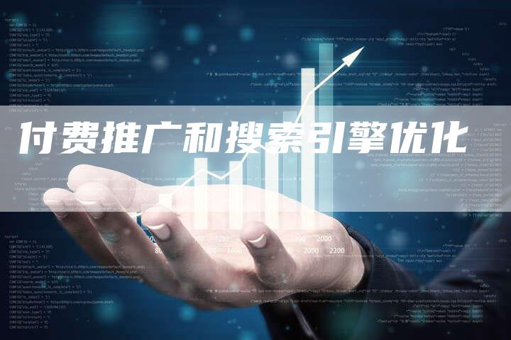 付费推广和搜索引擎优化