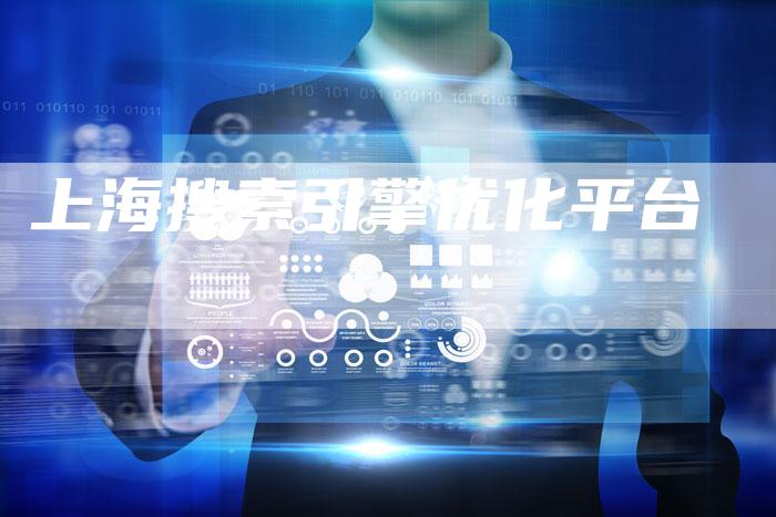上海搜索引擎优化平台