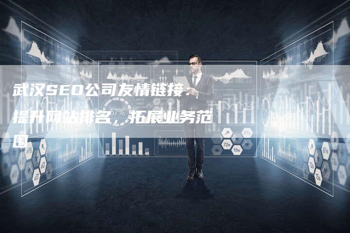 武汉SEO公司友情链接：提升网站排名，拓展业务范围