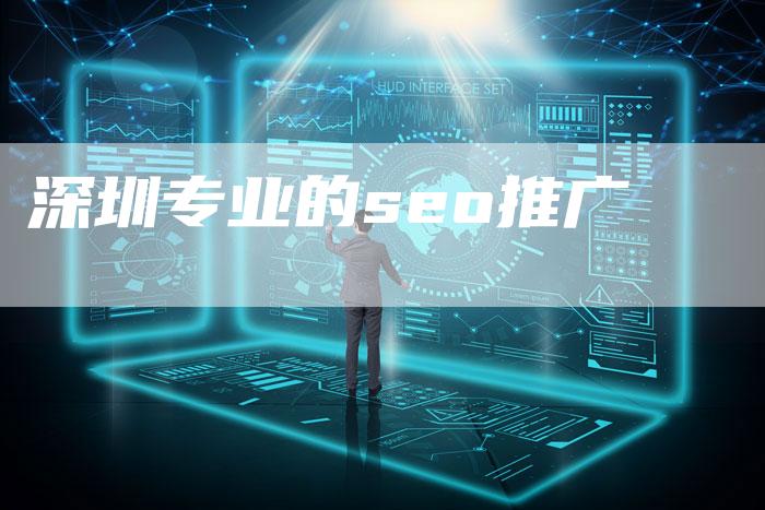 深圳专业的seo推广