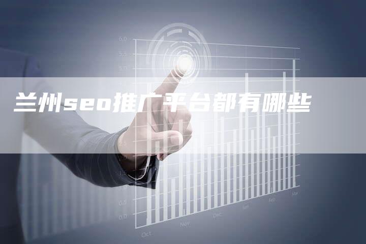 兰州seo推广平台都有哪些