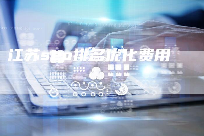 江苏seo排名优化费用