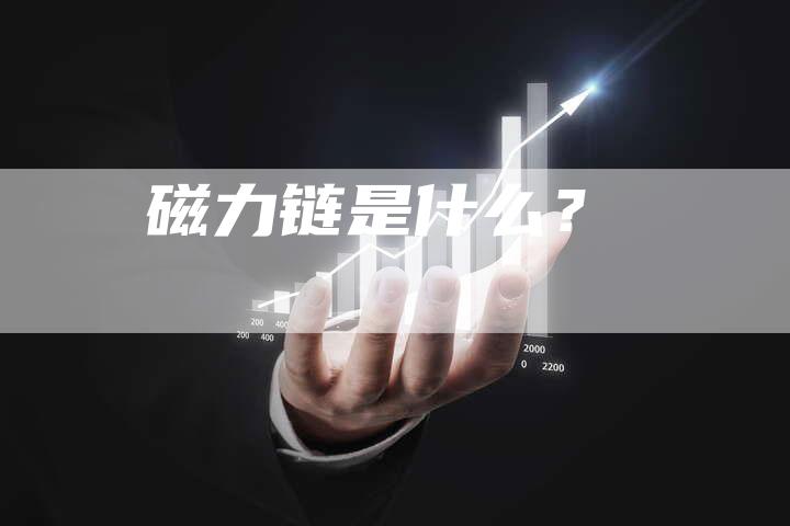 磁力链是什么？-夫唯发布外链网