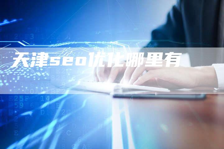 天津seo优化哪里有