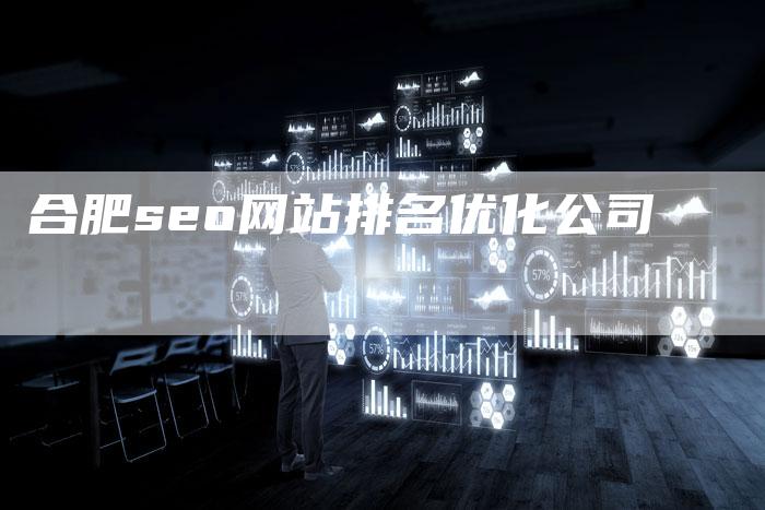 合肥seo网站排名优化公司