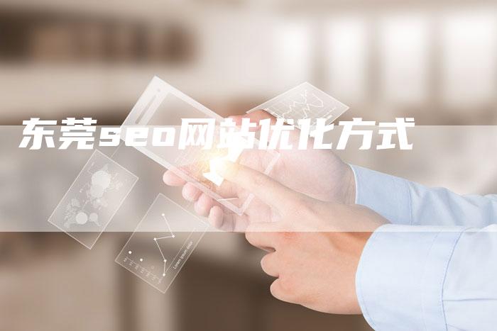 东莞seo网站优化方式