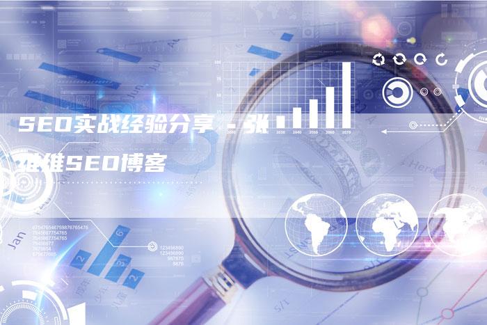 SEO实战经验分享  张维维SEO博客