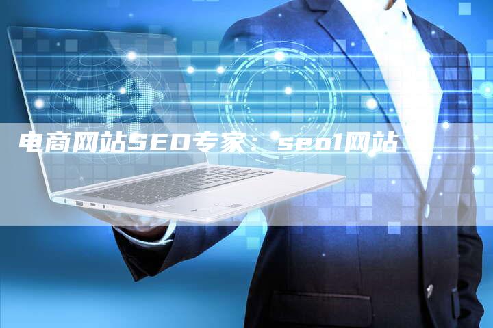 电商网站SEO专家：seo1网站