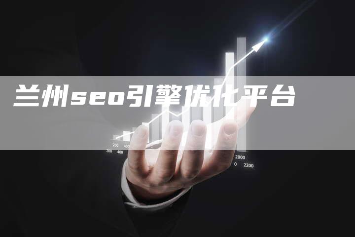 兰州seo引擎优化平台