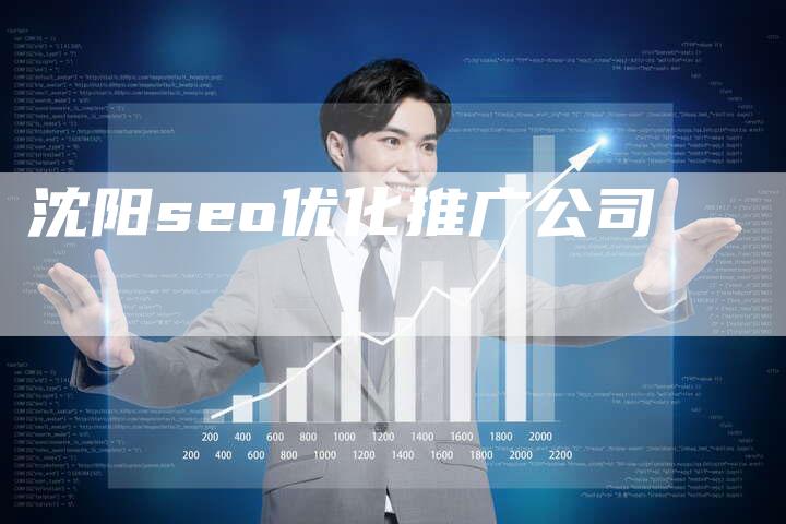 沈阳seo优化推广公司