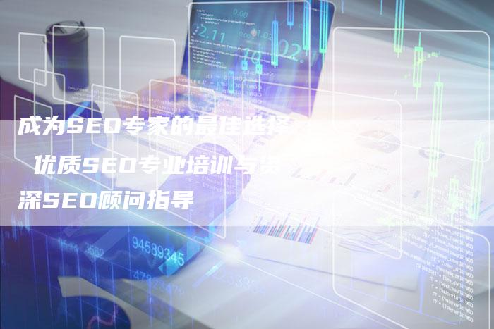 成为SEO专家的最佳选择 优质SEO专业培训与资深SEO顾问指导