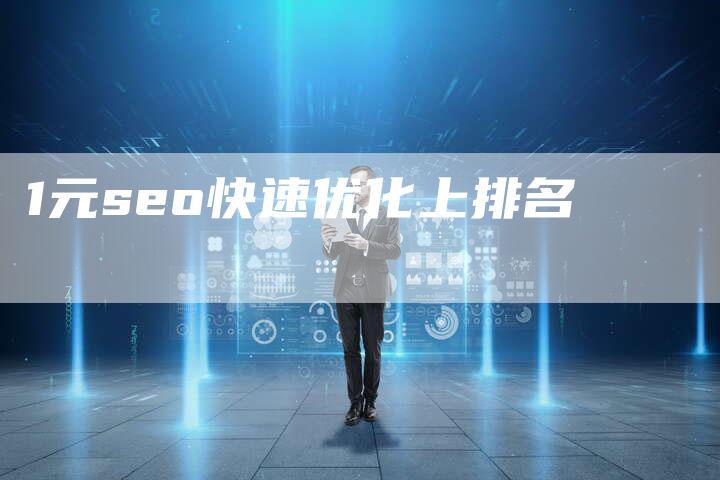 1元seo快速优化上排名