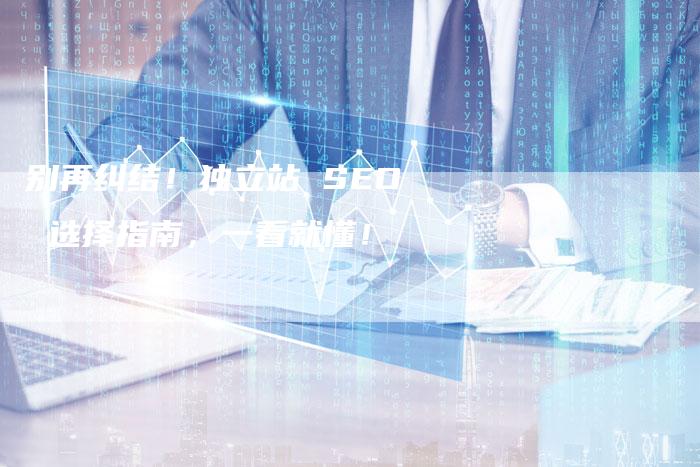 别再纠结！独立站 SEO 选择指南，一看就懂！