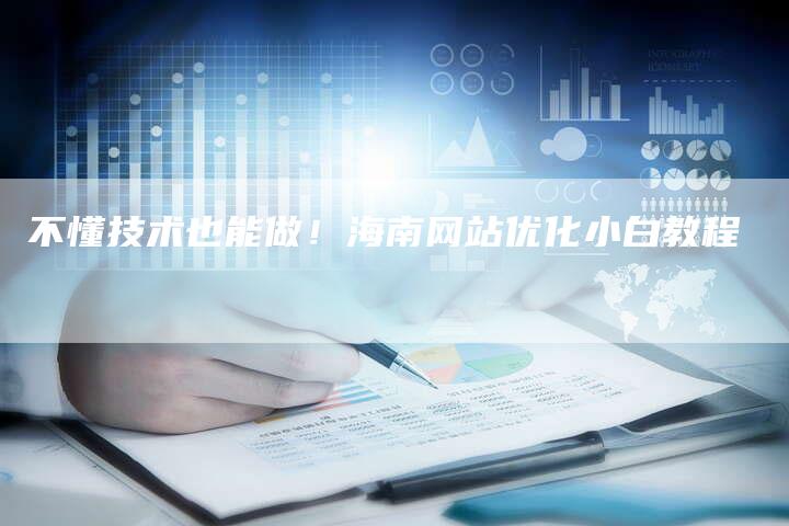 不懂技术也能做！海南网站优化小白教程