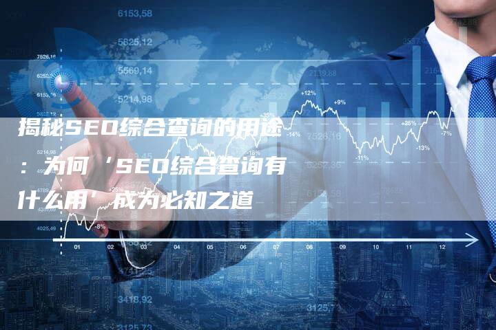 揭秘SEO综合查询的用途：为何‘SEO综合查询有什么用’成为必知之道