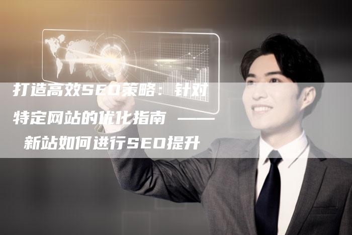 打造高效SEO策略：针对特定网站的优化指南 —— 新站如何进行SEO提升
