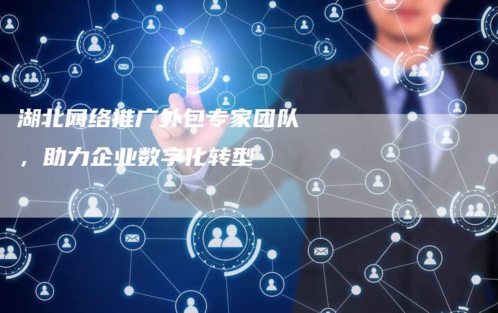 湖北网络推广外包专家团队，助力企业数字化转型