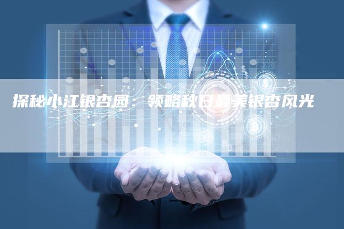 探秘小江银杏园：领略秋日最美银杏风光-夫唯发布外链网