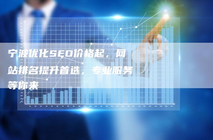 宁波优化SEO价格起，网站排名提升首选，专业服务等你来