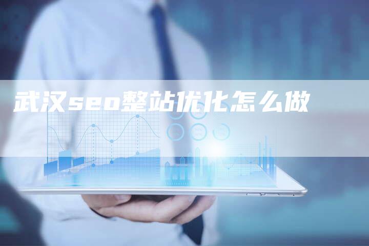 武汉seo整站优化怎么做