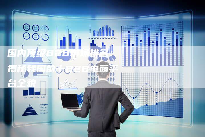 国内顶级B2B市场排名：揭秘我国前十B2B电商平台全貌-夫唯发布外链网