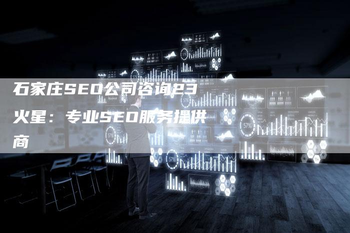 石家庄SEO公司咨询23火星：专业SEO服务提供商