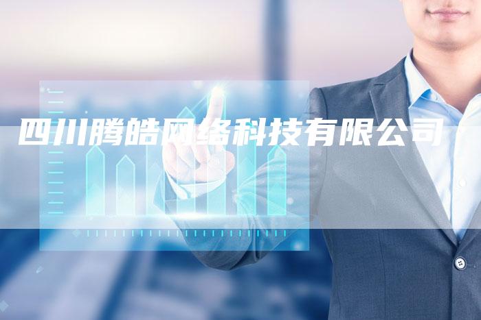 四川腾皓网络科技有限公司