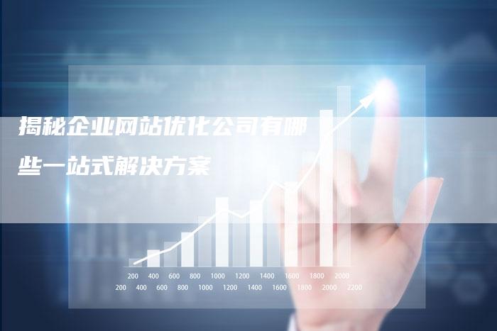 揭秘企业网站优化公司有哪些一站式解决方案