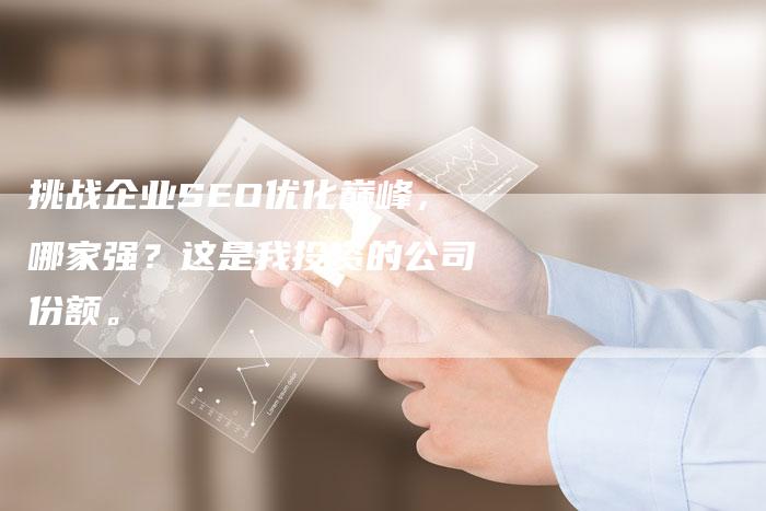 挑战企业SEO优化巅峰，哪家强？这是我投资的公司份额。