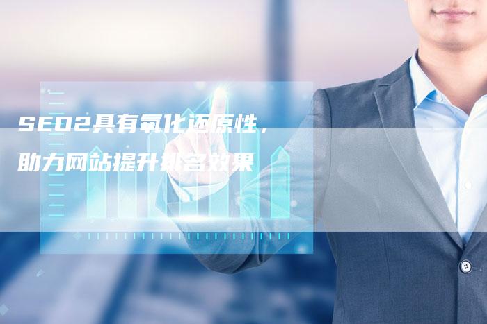 SEO2具有氧化还原性，助力网站提升排名效果