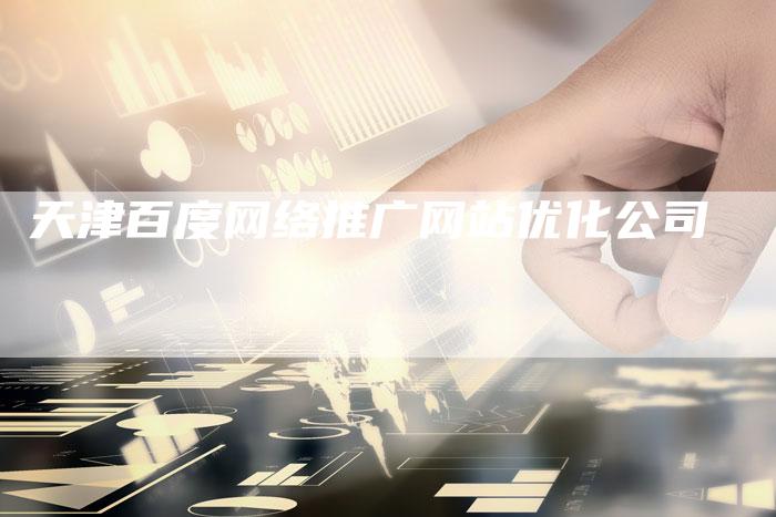 天津百度网络推广网站优化公司
