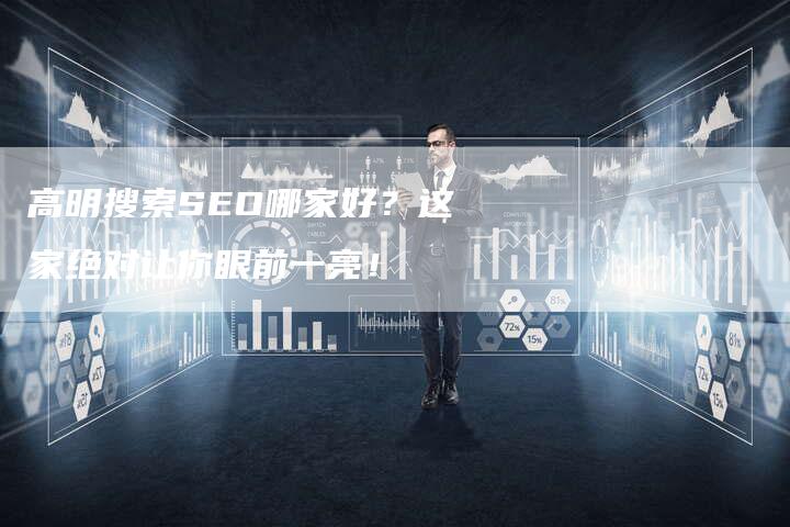 高明搜索SEO哪家好？这家绝对让你眼前一亮！