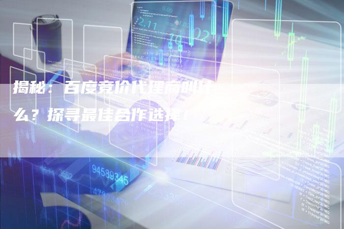 揭秘：百度竞价代理商叫什么？探寻最佳合作选择！-夫唯发布外链网