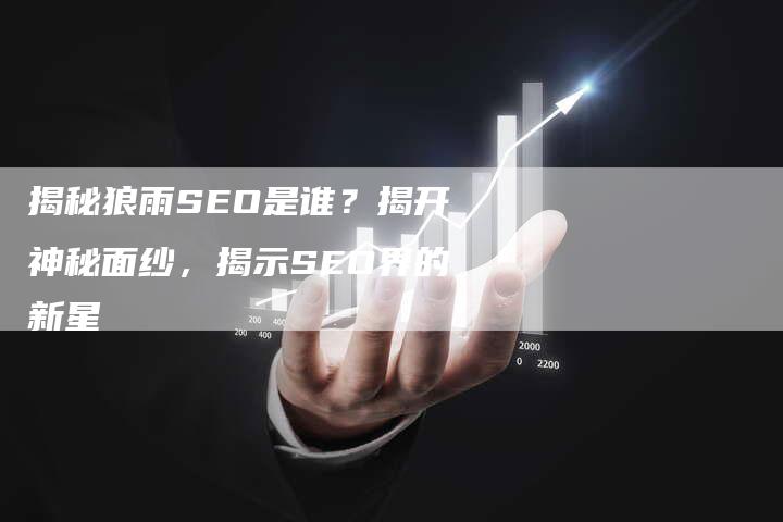揭秘狼雨SEO是谁？揭开神秘面纱，揭示SEO界的新星