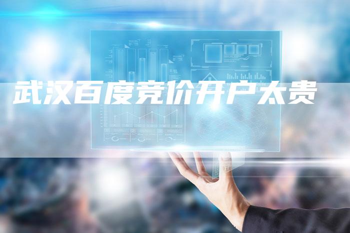 武汉百度竞价开户太贵-夫唯发布外链网